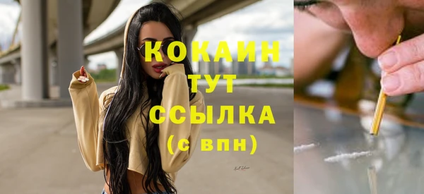 мяу мяу мука Бородино